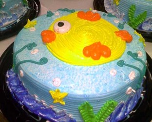 IMG-20180105-WA0036 (1)